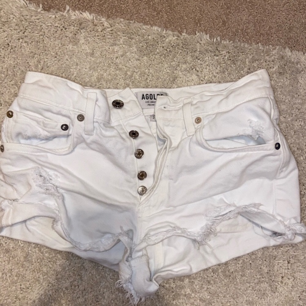 Agolde Parker Shorts in Detour